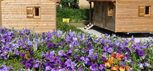 Chalet-eco-nature-sablesursarthe-fleurs